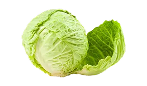 聚焦熱門賽事 - 28圈
